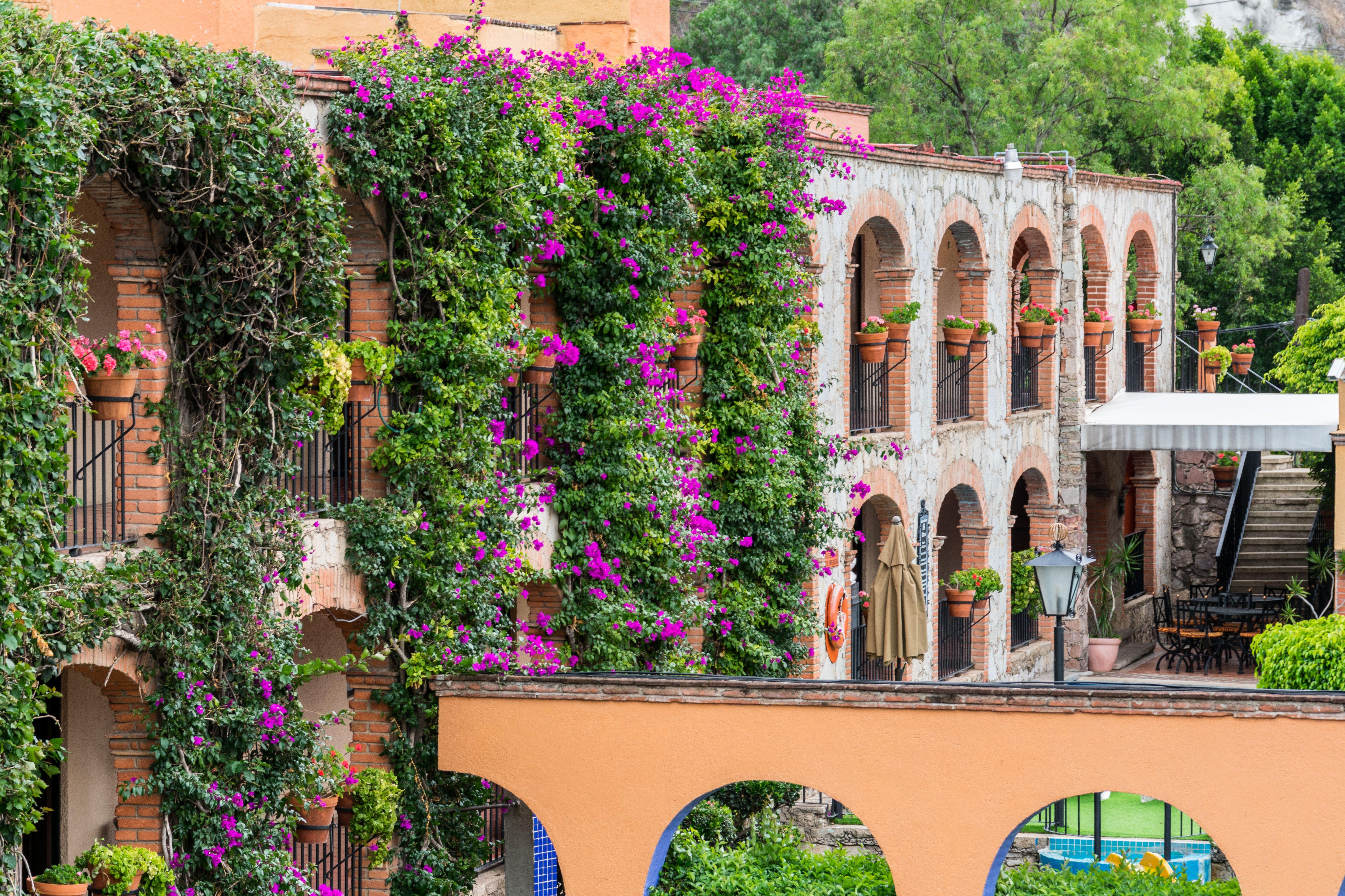 Hotel Abadia Plaza Guanajuato Eksteriør bilde