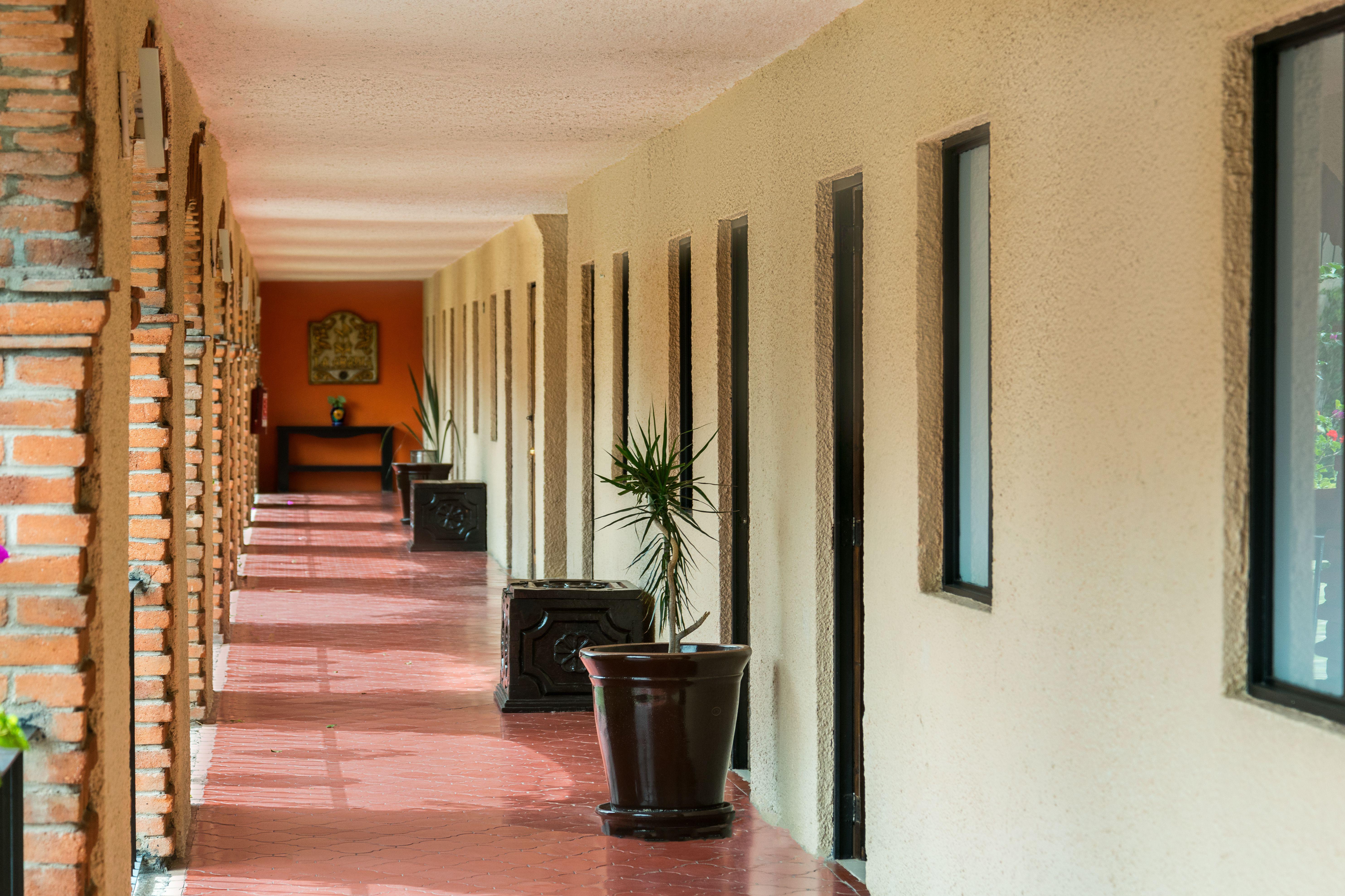 Hotel Abadia Plaza Guanajuato Eksteriør bilde
