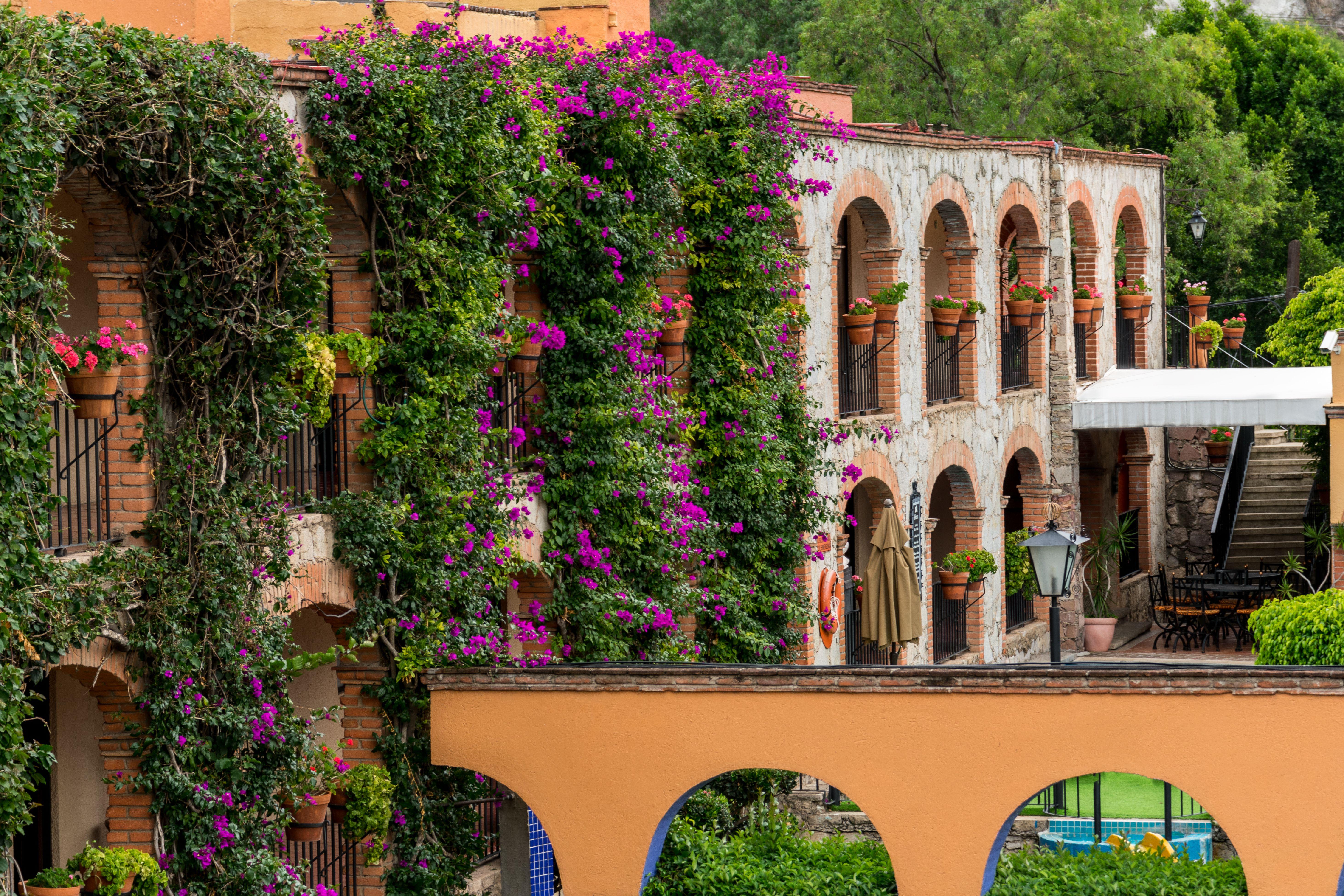 Hotel Abadia Plaza Guanajuato Eksteriør bilde